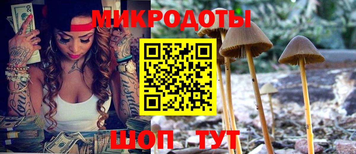 Отрадное  Псилоцибиновые грибы GOLDEN TEACHER  Вход с VPN 